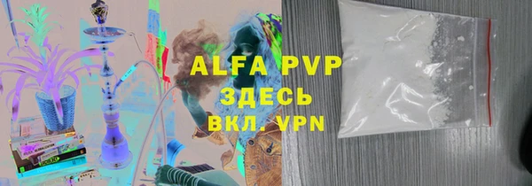 хмурый Алексин