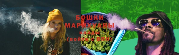ПСИЛОЦИБИНОВЫЕ ГРИБЫ Алексеевка