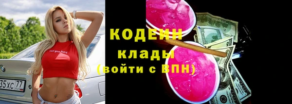 хмурый Алексин