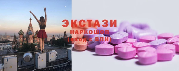 хмурый Алексин