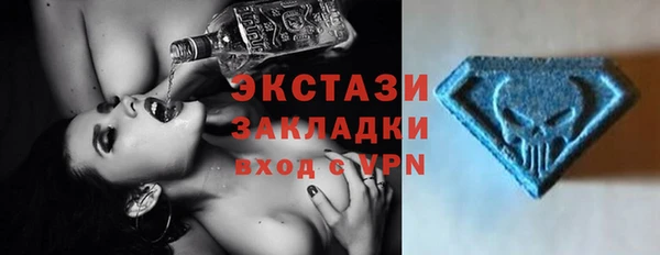 хмурый Алексин