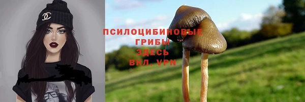 ПСИЛОЦИБИНОВЫЕ ГРИБЫ Алексеевка