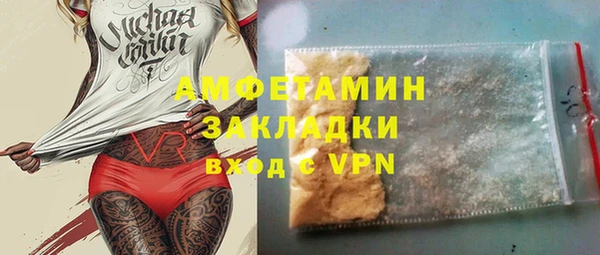 хмурый Алексин