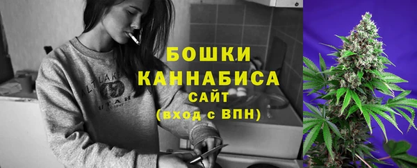 ПСИЛОЦИБИНОВЫЕ ГРИБЫ Алексеевка