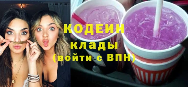 хмурый Алексин